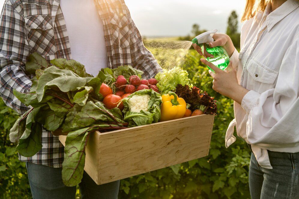 How Can Seasonal Eating Improve Mental Well-Being?